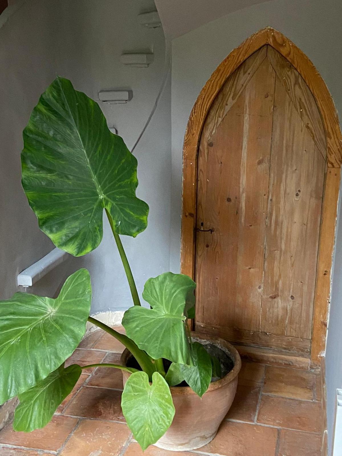 Mas Carita Bed & Breakfast Cabannes ภายนอก รูปภาพ